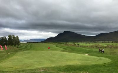 Opnu styrktarmóti fyrir afreksstarf Leynis FRESTAÐ