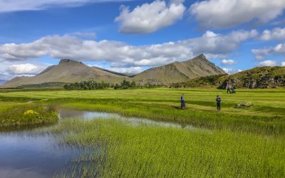 Framboð til stjórnar GL