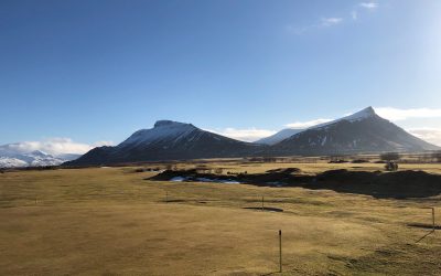 Skrifstofa Leynis lokuð 16.-22.apríl 2019 / staðan á vellinum