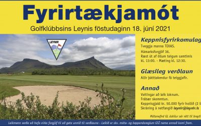 Fyrirtækjamót Leynis